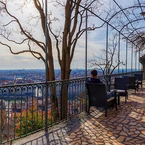 Hi Lyon